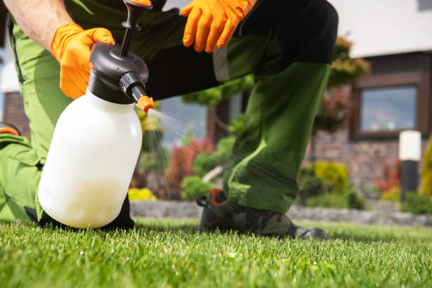 Insect Control in Sandia Knolls, NM